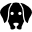 Animali